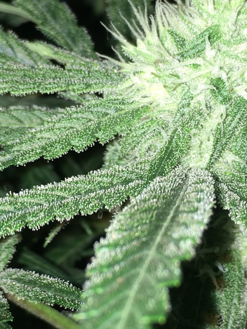 978835B1-5CD6-49D9-B4D8-65FABD618FCC