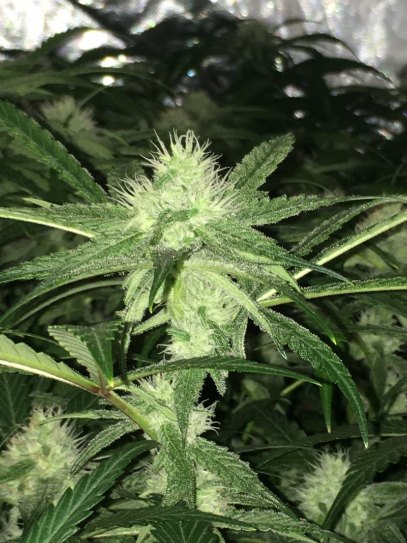 37616950-D034-48F2-9BD3-2883672959F9