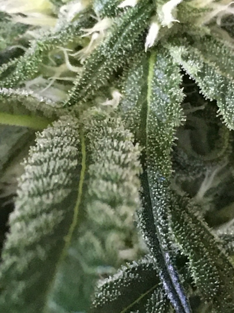 6654BEA9-5DDF-4C20-A5F1-D2D3D263C687