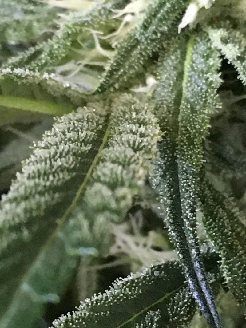 6FD0A042-A32E-42A6-8EDC-26D59630154F