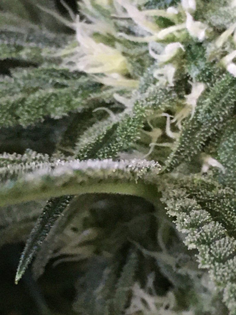 E073F20F-FE2D-4B0E-B5D0-8390DD93A1F0