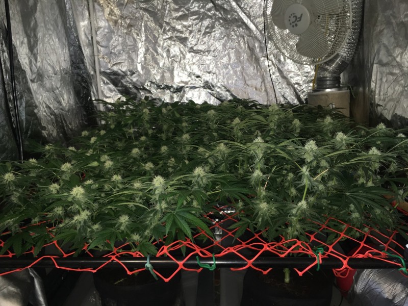 95C6C859-24E4-45A7-93F5-B13B1ABCDCBF