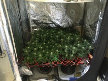 02D9BDFB-D55A-4742-B072-6B685304D98A