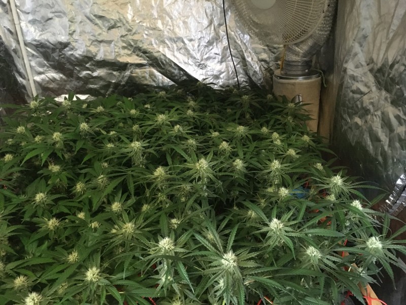 8884E04D-F6D8-4A21-91FE-FF6422A52D9F