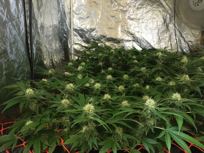 616080E6-75D3-4510-B802-986EC5E43D6F