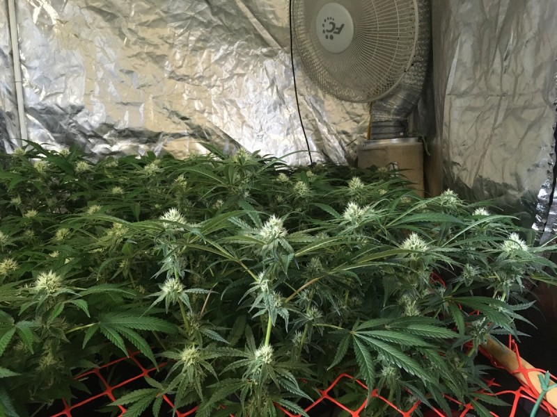 AE03E00B-F08D-454B-87D2-7CACDFE6C69D