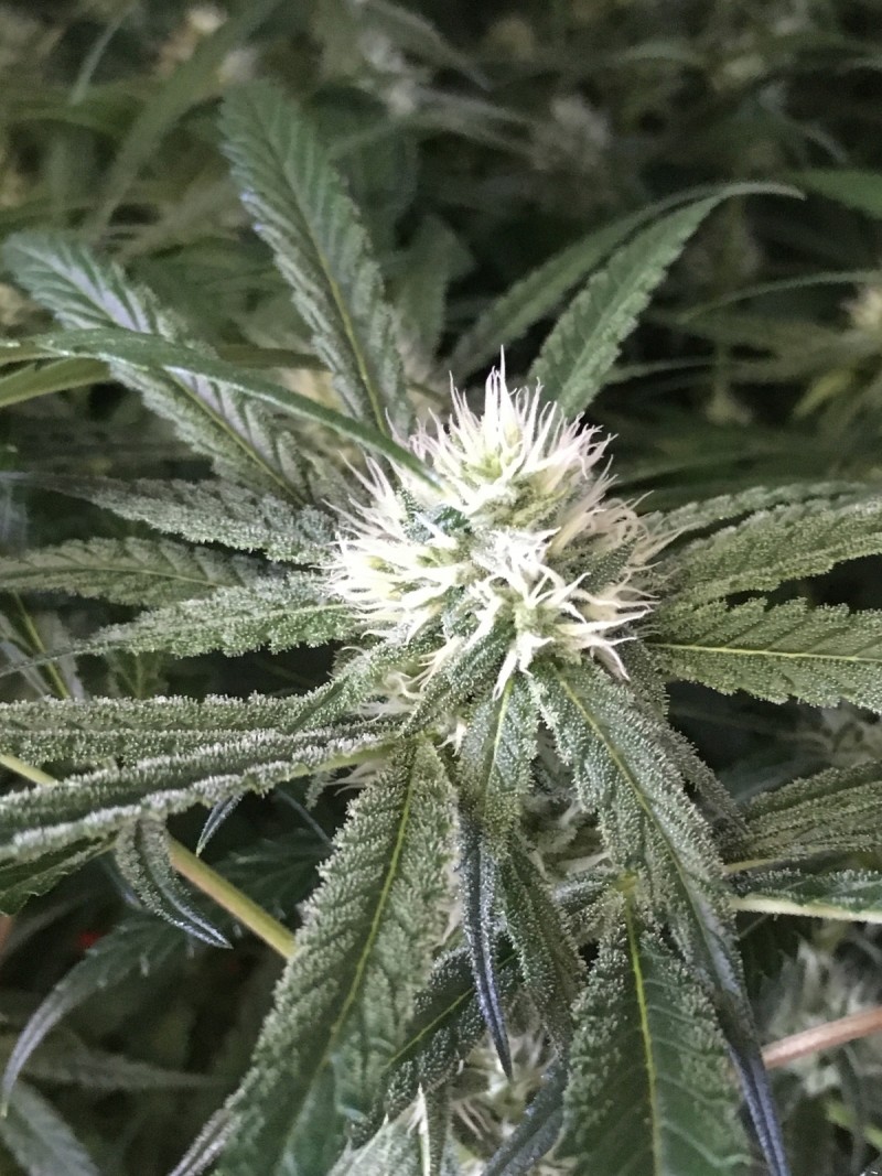 EED9AEEC-8409-4097-9D1B-D1D4E2A5C7EA