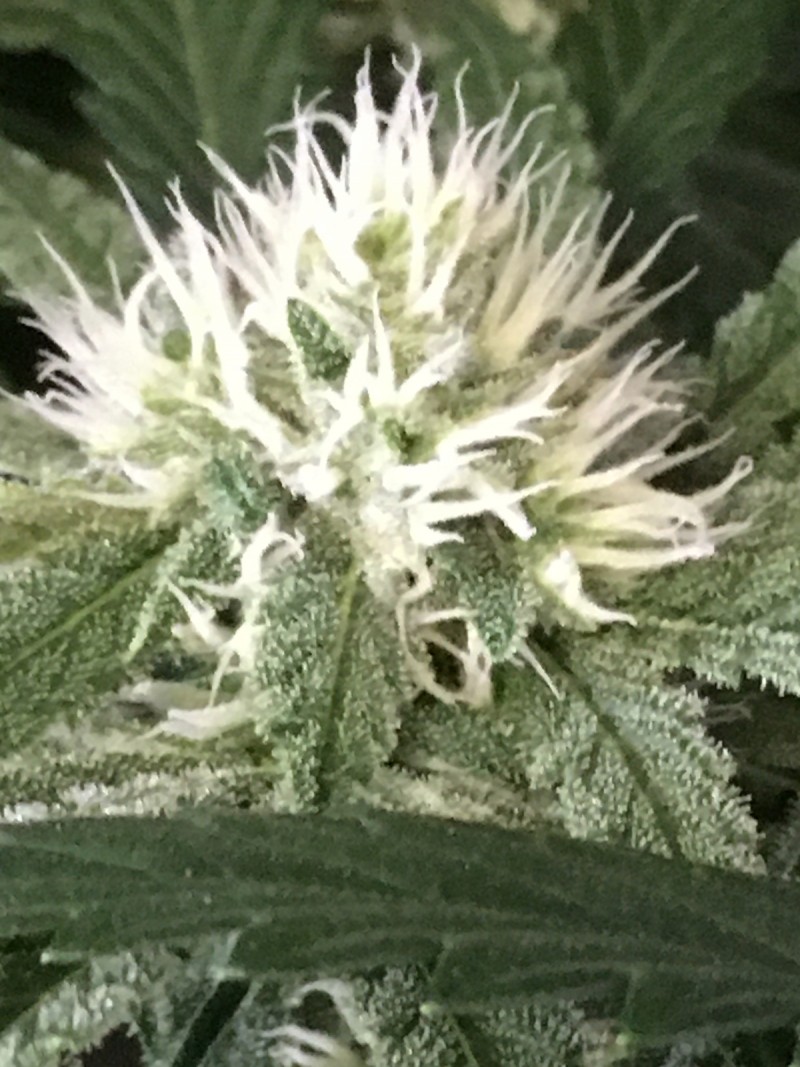 2D4FA177-9151-4216-9FEA-C87D62A8B2CB