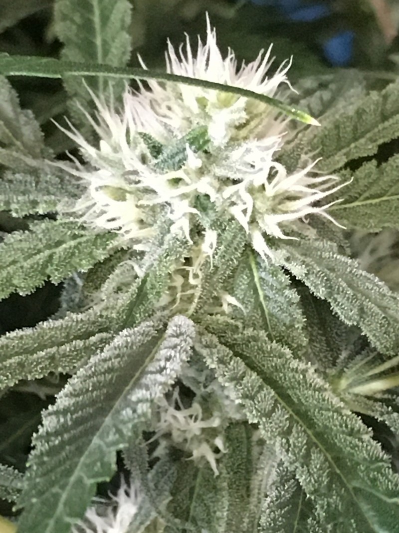 88921B9E-E05F-4698-A9EE-64F237B0563B