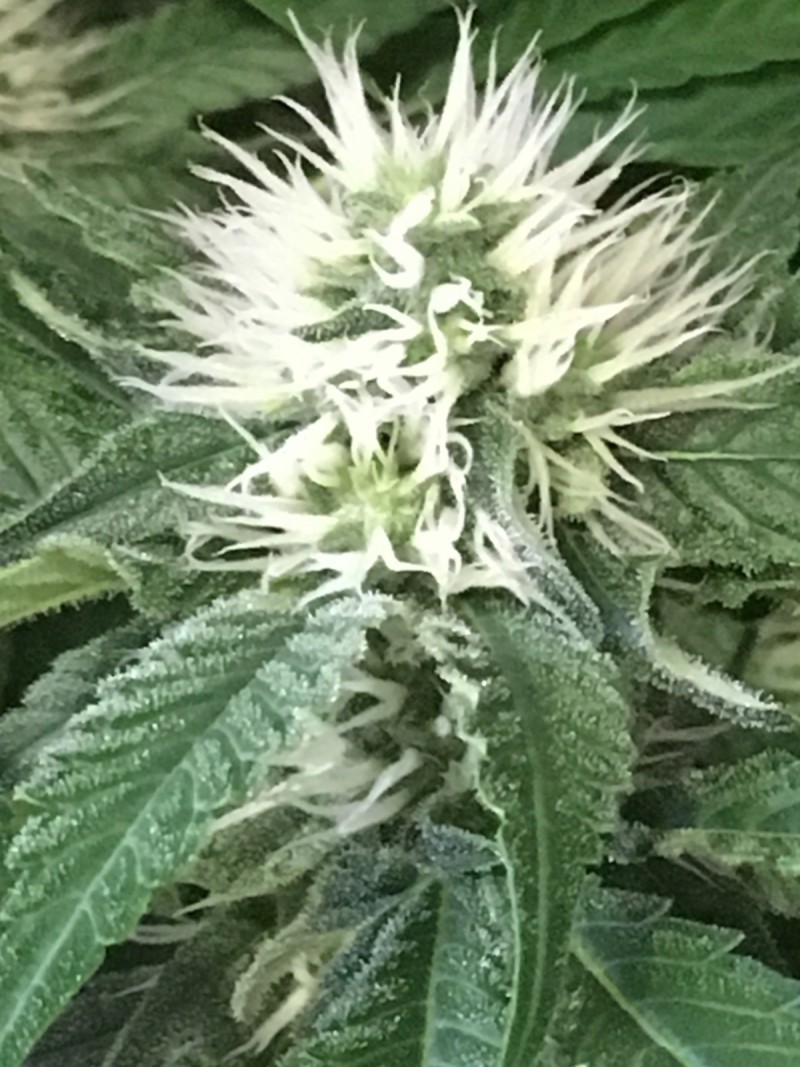 131617AE-8CEF-42BB-ABC1-FD61B9FEAF4E