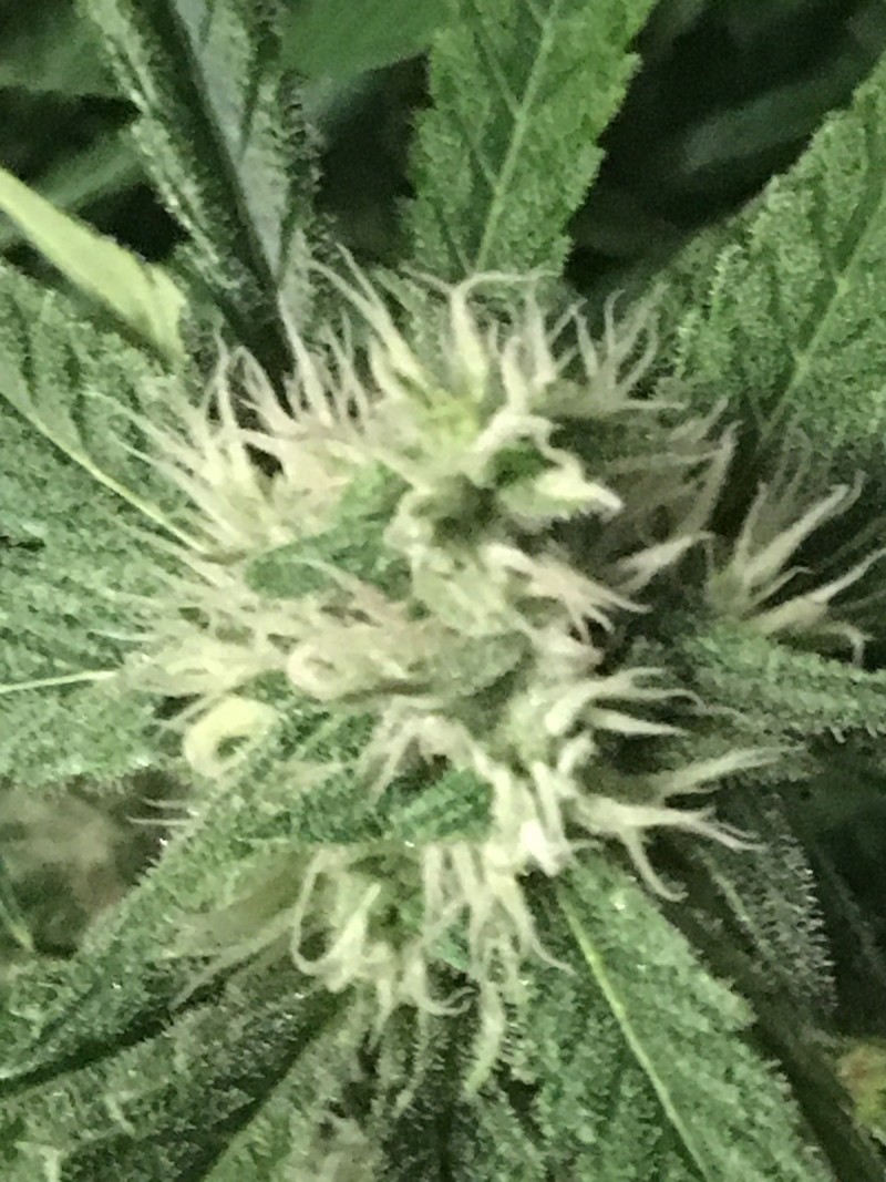 B2AC8F3F-A292-4517-8716-A7332D65505F