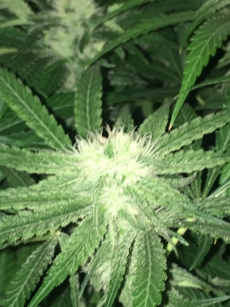 59E953A3-F17B-4893-A83F-0A584CD38F3C