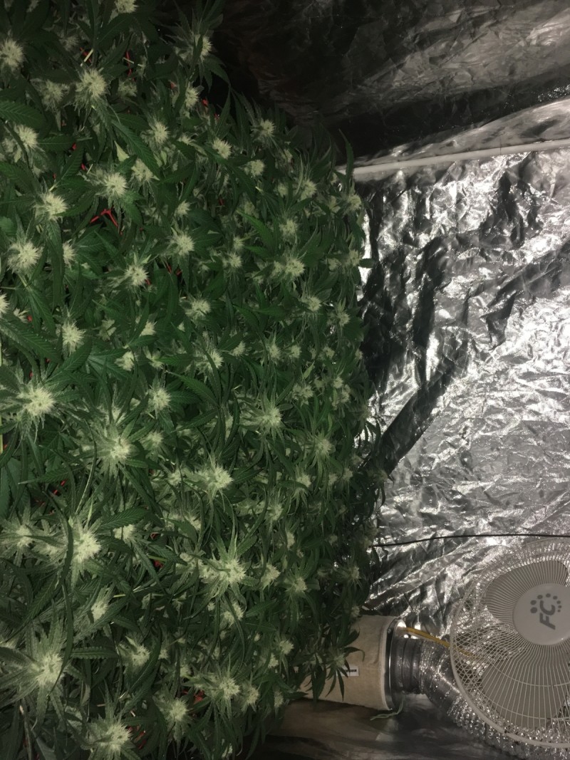 E7C4B252-01FD-487E-9BC4-E21BB7624AB7