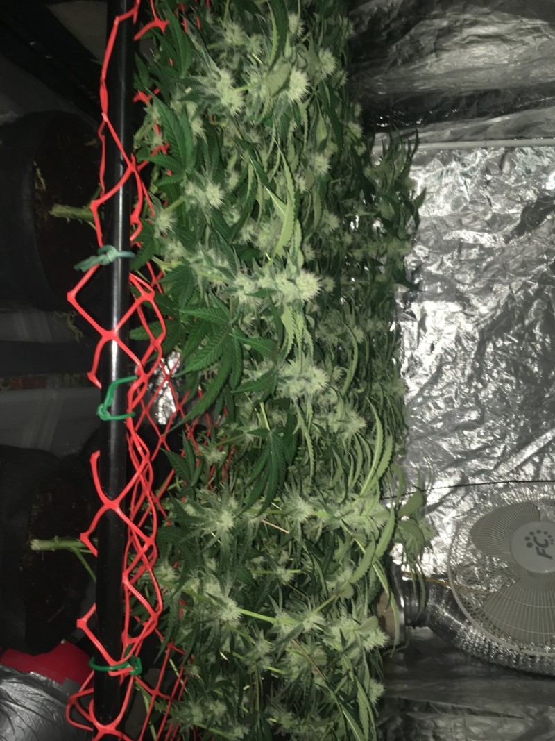 E4D7F8BE-F00B-40DF-87FB-2DFCBD6B8610