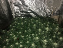 FCF0ABC8-17E0-48D0-852F-E9C3E7A6F495