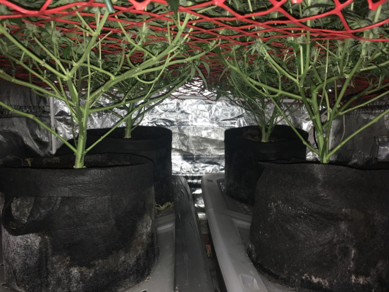 E6B7CA59-47C0-407C-BC9B-8B79490C5417