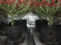 E6B7CA59-47C0-407C-BC9B-8B79490C5417