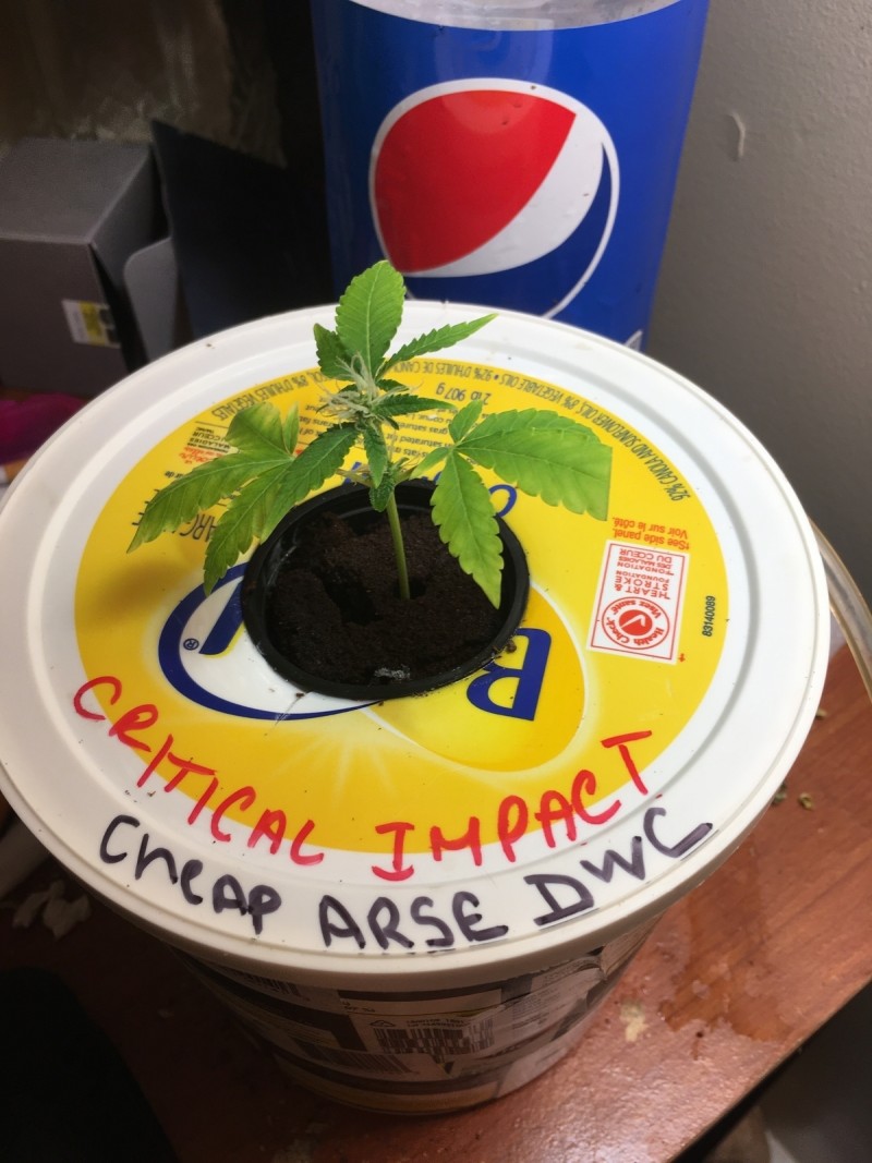 C5B46467-64F9-46AA-9AEB-9D11A7722DBD