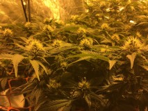 4E5CA440-58CC-4991-AD94-820619312498