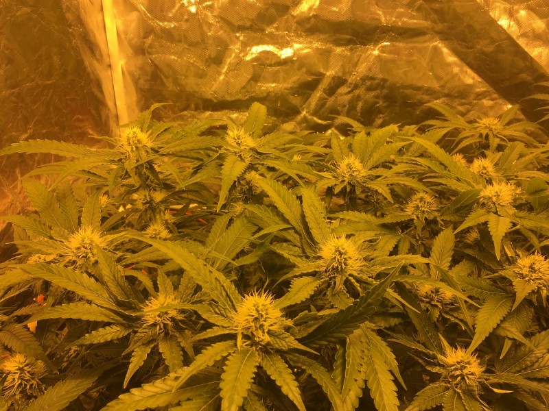 DB9441A1-5B23-4971-A8BA-11205732E8AA