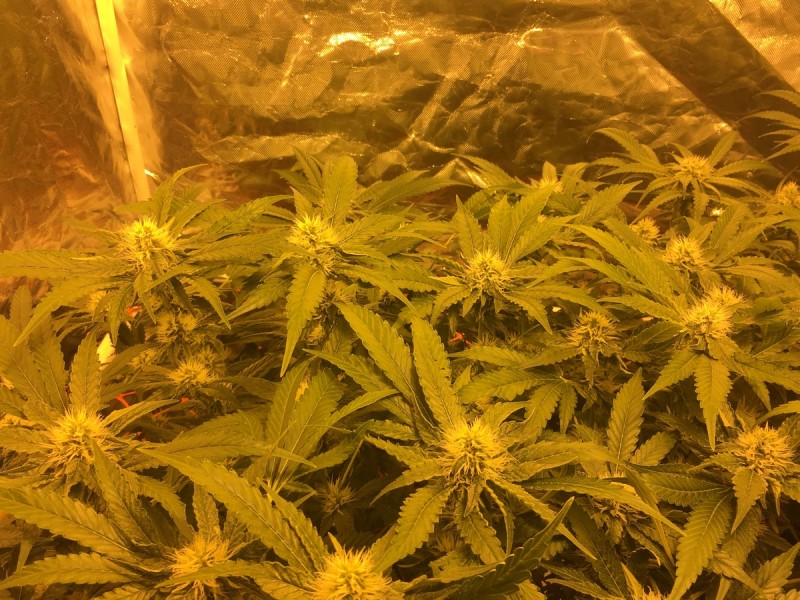 02CE185B-C3A0-46C9-853A-D6A80B36B8A2