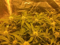 02CE185B-C3A0-46C9-853A-D6A80B36B8A2