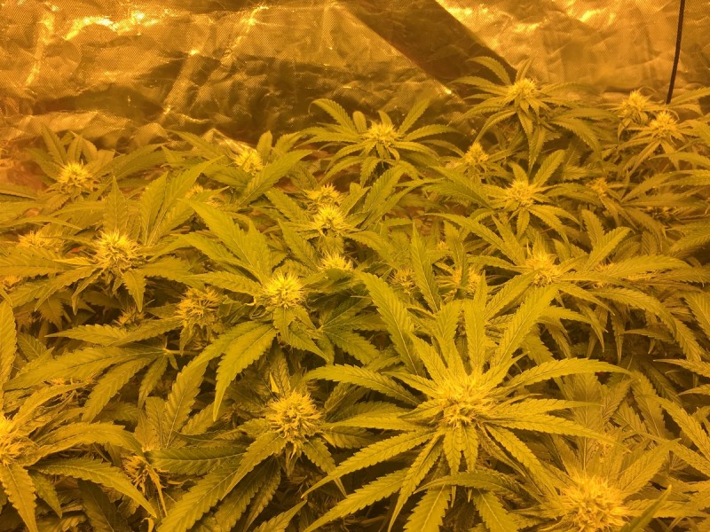 06796DB3-A247-48B0-AA8C-FFCBD18AF91E