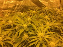 06796DB3-A247-48B0-AA8C-FFCBD18AF91E