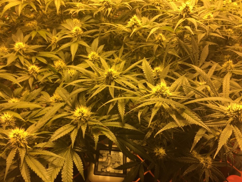 26B794A4-43B8-4599-8118-C2C84512272D