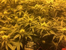 26B794A4-43B8-4599-8118-C2C84512272D