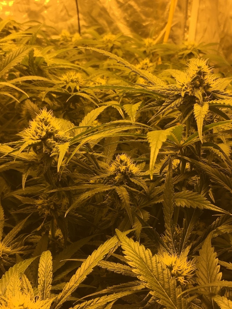 96DE7F6F-2802-4756-A78C-9EFF046F3490