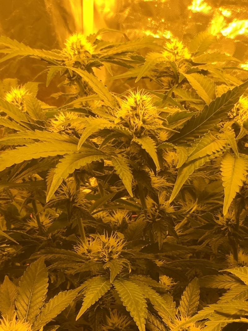 83ACD2A8-AE33-4BE6-9712-2F05709074BC