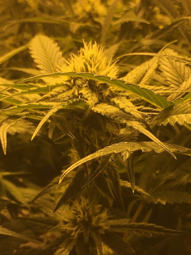 47490B12-4FE0-4F2C-B6F6-9BC6D2D0634D