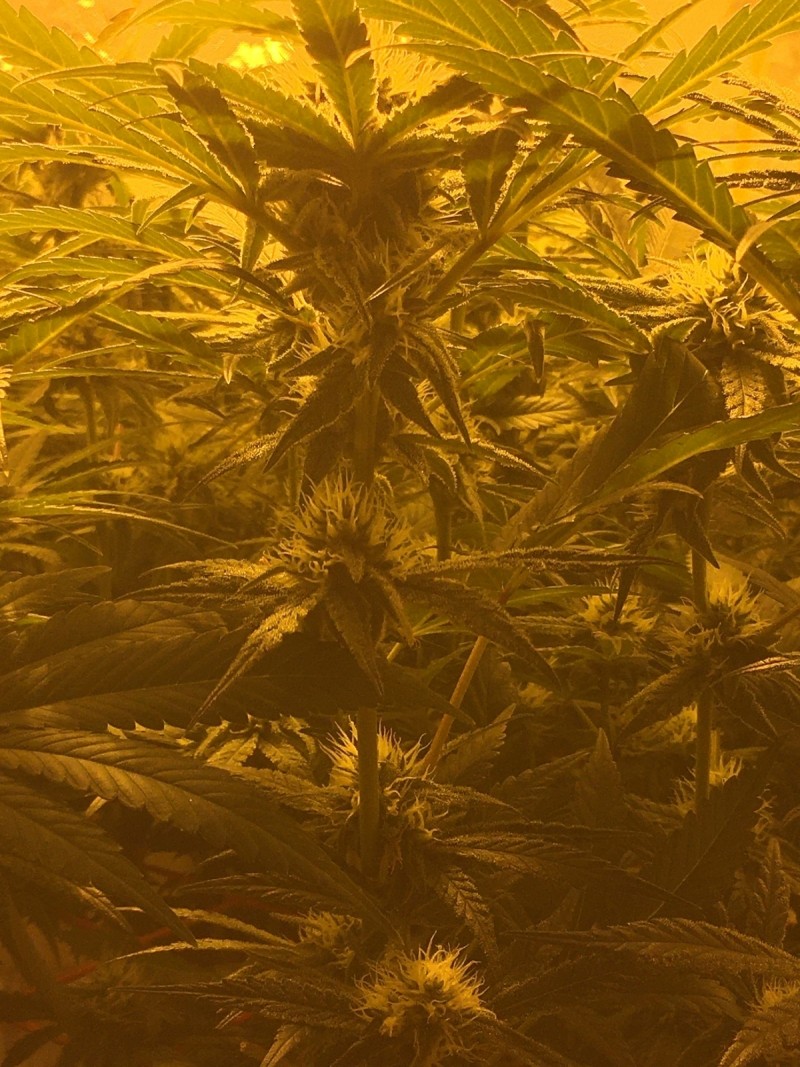 26E6AAA6-B3E4-4F02-AE4B-BA34FFD5E373