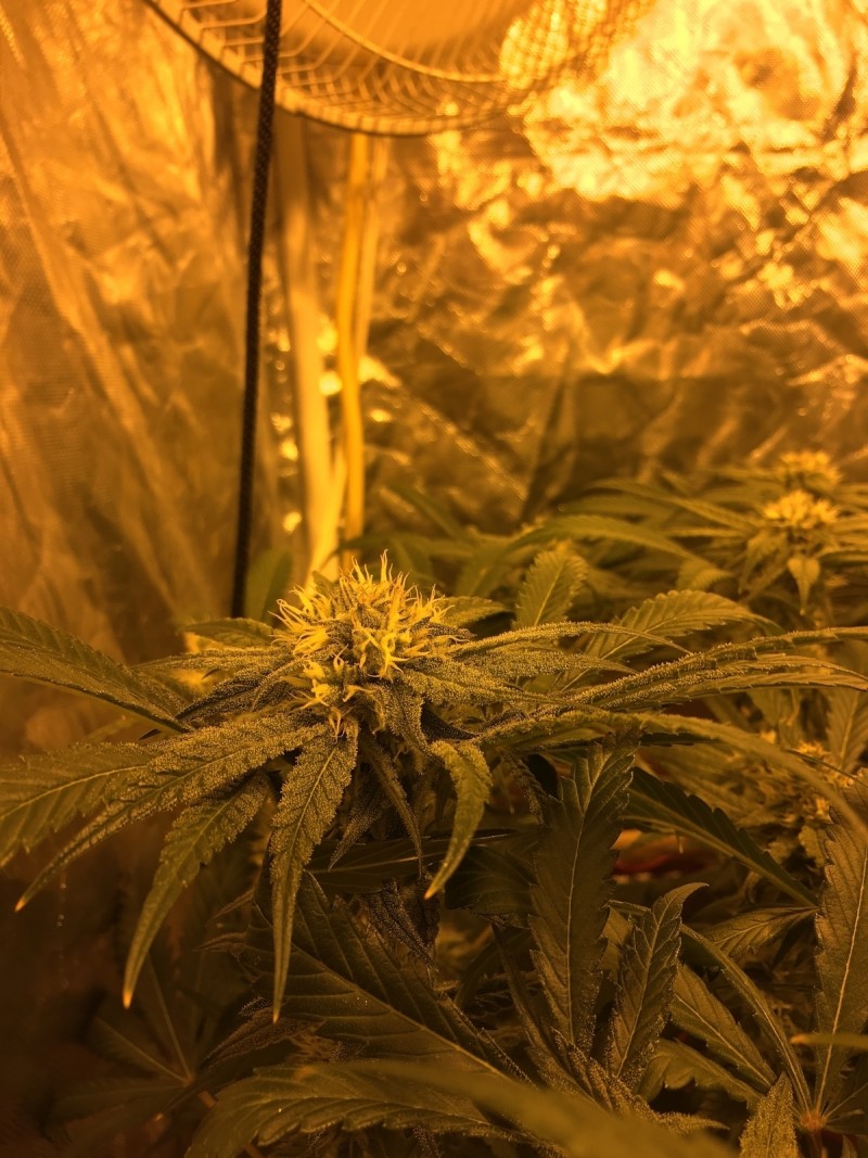 65401E63-33F4-4400-A5B1-977D0B5D4ED4