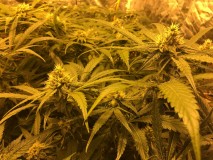 6C37ECA8-67E8-4C37-AA95-DB9A3450F1D5