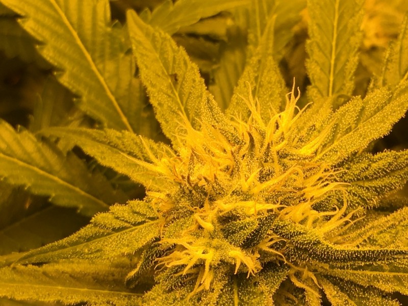 EC94FE96-BC58-448C-B0F1-6694CCEA356A