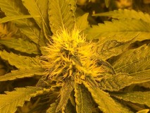 EFF85766-BD3B-4037-8C46-62FF2B22EE4C