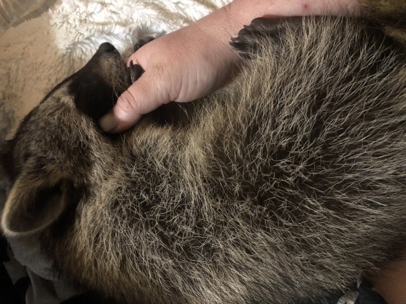 13404566-01DB-44C8-A386-04FF3821871E