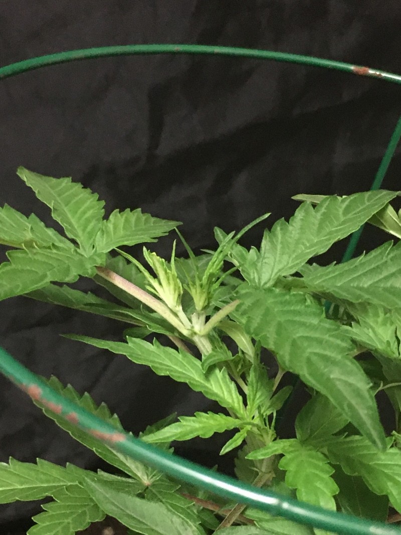 77395A2D-4570-447A-A20D-021268B3F619