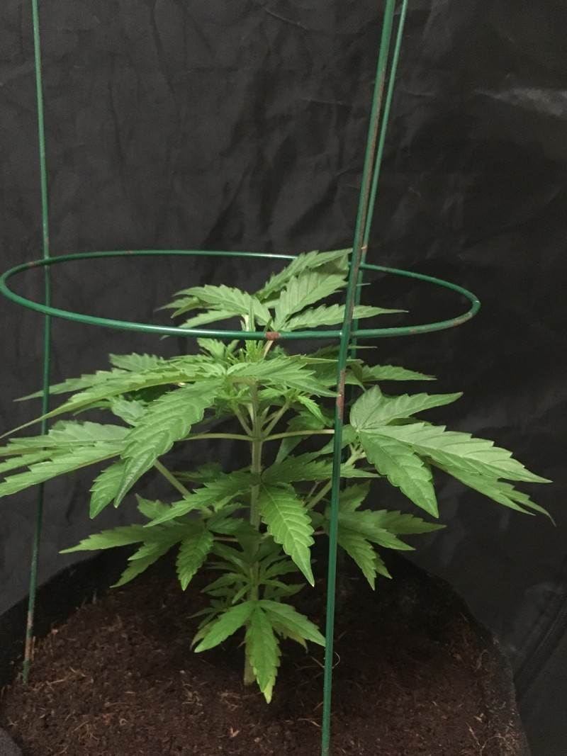 3678D424-8DCC-4370-9FF9-9BC318D1FFA4