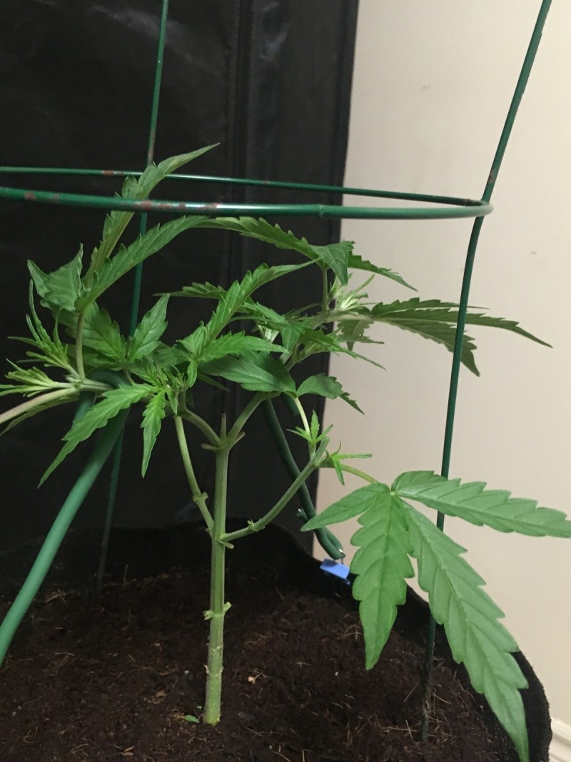 AF79A0E5-E857-420D-B295-6A3AFDFEC16D