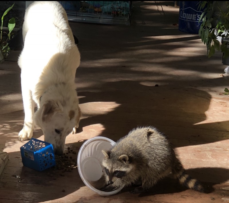 38C3722B-A5CB-42B2-A096-2173A7467678