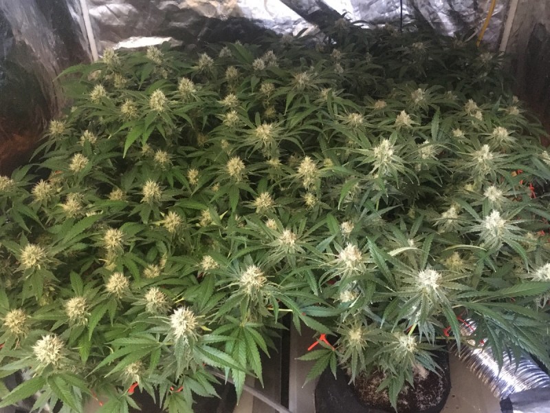 2109001B-34B5-49B3-91B2-C4C92DD0A803