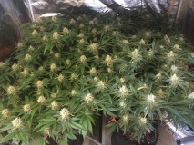 2109001B-34B5-49B3-91B2-C4C92DD0A803