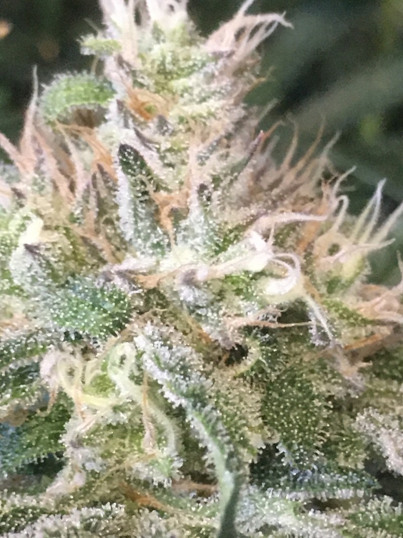 2109001B-34B5-49B3-91B2-C4C92DD0A803