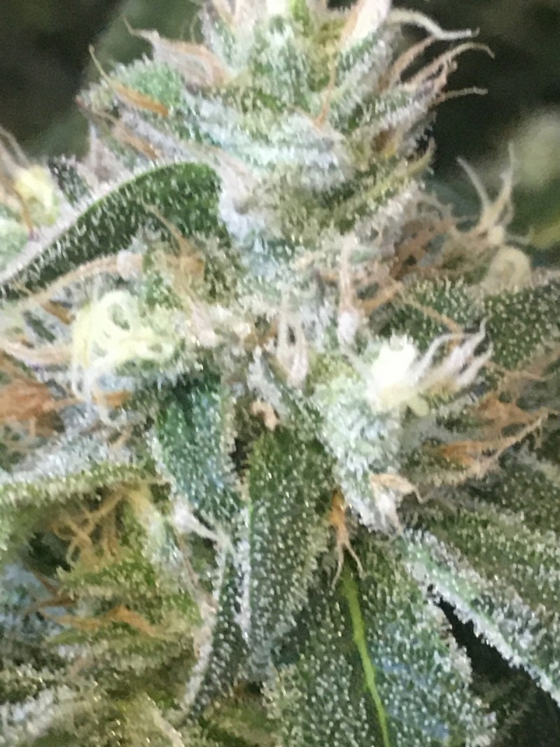 2109001B-34B5-49B3-91B2-C4C92DD0A803