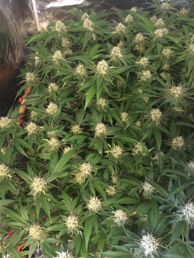 2109001B-34B5-49B3-91B2-C4C92DD0A803