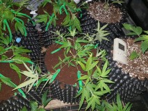 IMG-20180112-_WA0075