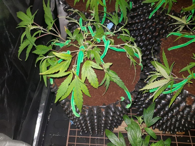 IMG-20180112-_WA0076